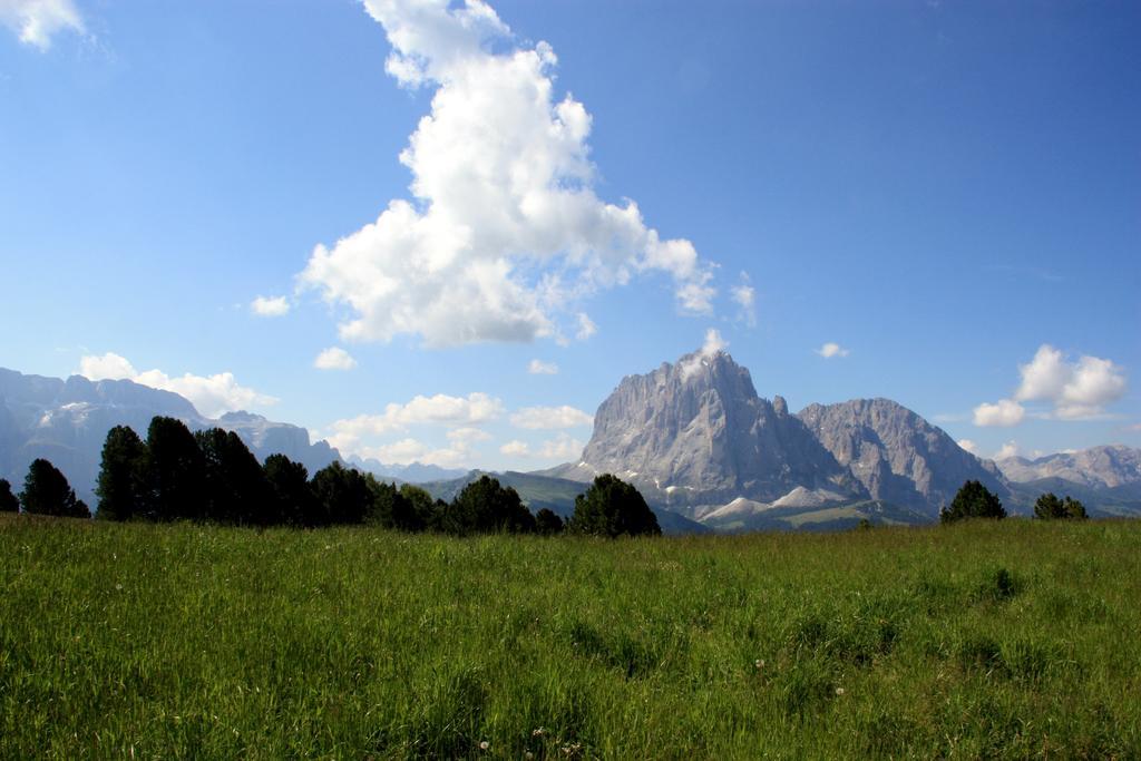 Hotel La Pineta Selva di Val Gardena Exteriér fotografie