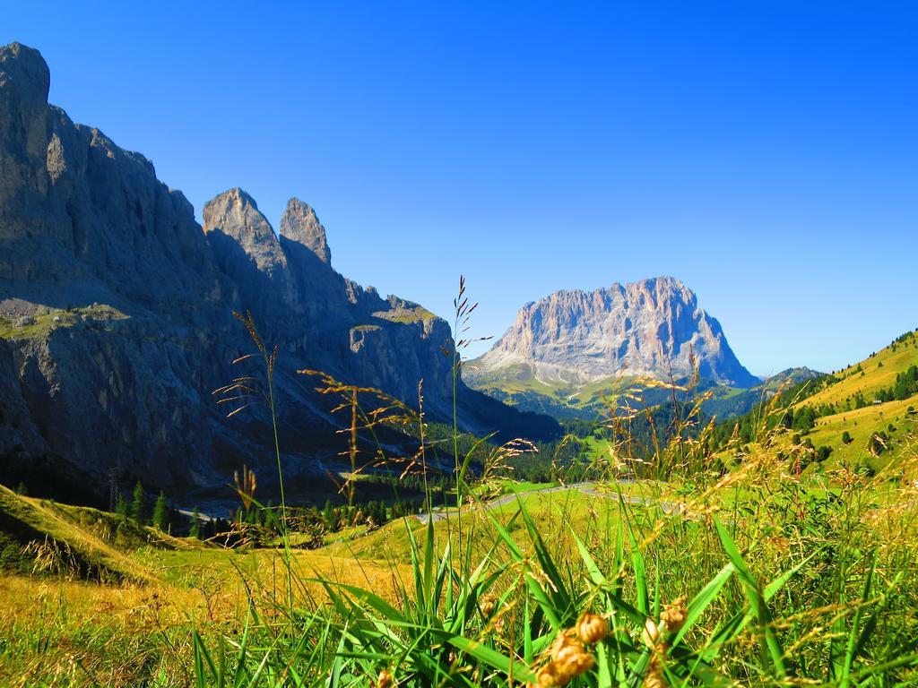 Hotel La Pineta Selva di Val Gardena Exteriér fotografie